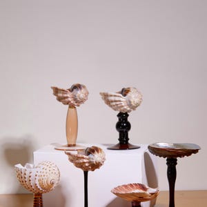 Halloween Seashell Cocktail Glass – Conch Shell Goblet with Gold Stem, Handmade Coastal Wine Cup for Beach Bar & Ocean Lover Gift