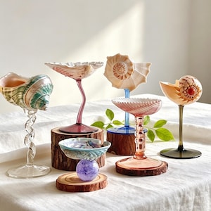 May include: A selection of decorative seashell-shaped glasses with coloured stems. The glasses are displayed on wooden coasters and a white tablecloth. The shells are in various colours, including pink, green, and beige. The stems are in shades of pink, blue, and clear.