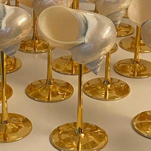 Puede incluir: Una colección de copas de vino decorativas. Cada copa presenta una concha natural con colores iridiscentes, montada sobre un fino tallo dorado y una base redonda dorada. Las copas están dispuestas en un patrón de cuadrícula.