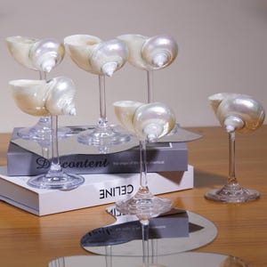 Customize Seashell Cocktail Glass – Conch Shell Goblet with Transparent Stem, Handmade Coastal Wine Cup for Beach Bar & Ocean Lover Gift