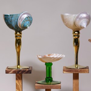 May include: Three decorative seashell-based objects. Two have gold stems and wooden bases, one with a teal shell and the other with a pearlescent shell. A third object has a green stem and a seashell bowl.