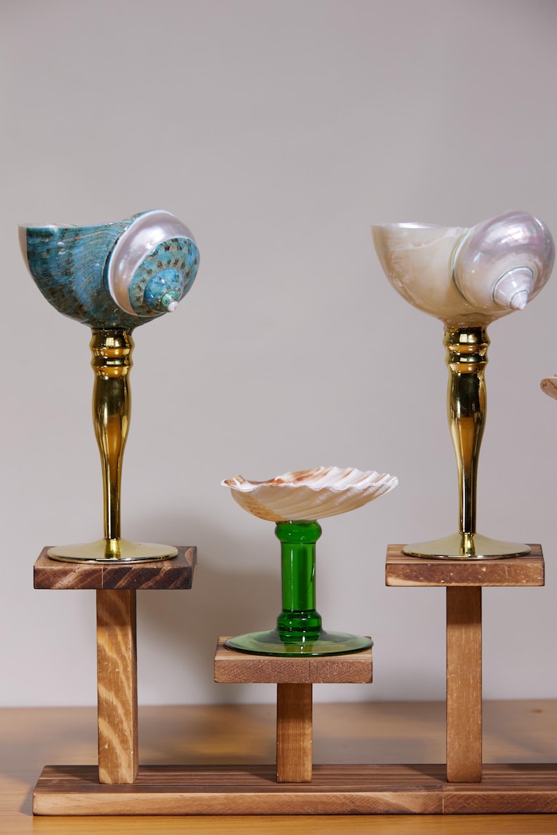 May include: Three decorative seashell-based objects. Two have gold stems and wooden bases, one with a teal shell and the other with a pearlescent shell. A third object has a green stem and a seashell bowl.
