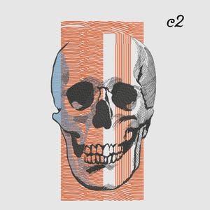 Peut inclure: Illustration d'un crâne stylisé, divisé en deux parties. La moitié gauche est orange avec un motif rayé texturé, l'autre moitié est un dessin noir et blanc. Le texte "c2" est en haut à droite.