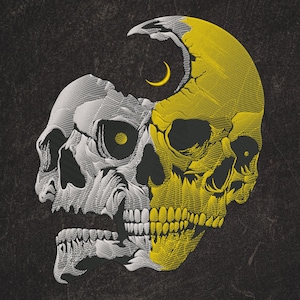 Op de afbeelding: Gedetailleerde illustratie van een schedel, verticaal gesplitst. De ene helft is wit en grijs, de andere is geel. Een gele halve maan staat boven de schedel. De achtergrond is een donker, getextureerd grijs.