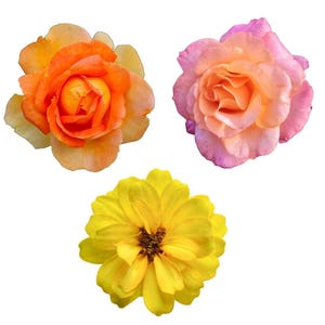 May include: Three distinct flowers isolated on a white background. The top left is a vibrant orange rose, the top right is a soft pink and peach rose, and the bottom centre is a bright yellow zinnia with a dark, textured centre disc.