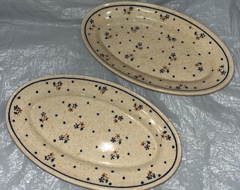 Boleslawiec Polish Pottery Country Meadow 10,75 zoll ovale Teller 2er-Set