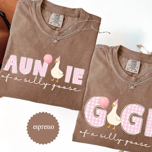 May include: Two espresso-colored t-shirts with the phrases "AUNTIE of a silly goose" and "GIGI of a silly goose" in pink gingham letters. Each shirt features a cartoon goose holding a balloon and wearing a party hat. Silver necklaces are draped on the shirts.