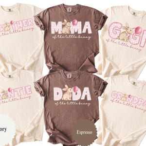 May include: Ivory and espresso-colored t-shirts with Easter-themed graphics. Each shirt features a bunny illustration with a pink balloon and text like "Brother," "Mama," "Gigi," "Antie," "Dada," and "Grandpa" in a playful font.