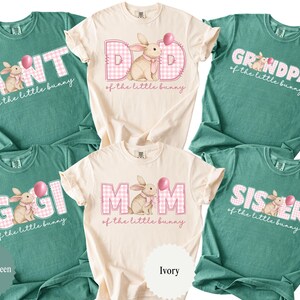 May include: A collection of light green and ivory t-shirts with Easter-themed graphics. Each shirt features a bunny illustration, a pink balloon, and text such as "Aunt", "Dad", "Grandpa", "Mom", and "Sister" in a playful font.
