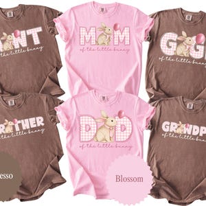 May include: A collection of t-shirts in espresso and blossom colors. Each shirt features a graphic with a bunny, a balloon, and text such as "Aunt", "Mom", "Gigi", "Brother", "Dad", and "Grandpa" with "of the little bunny".
