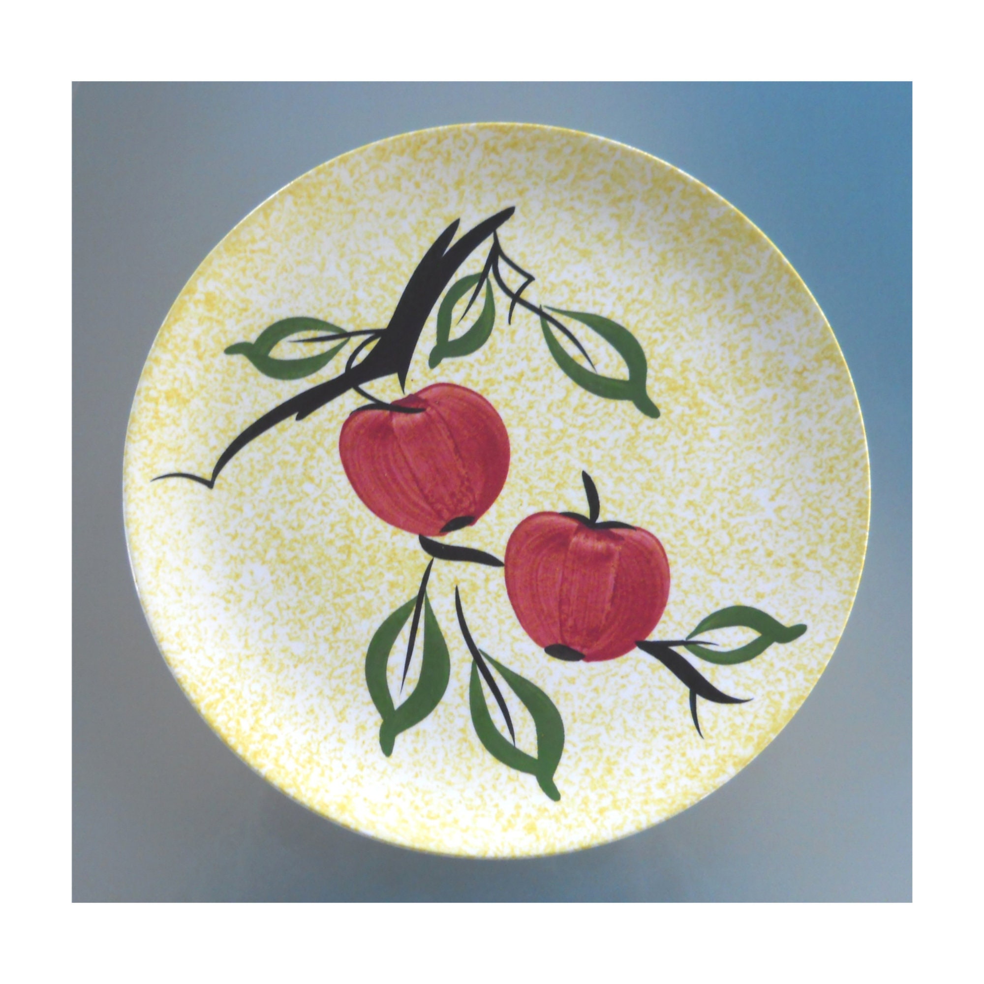 Blue Ridge Patterns 1940's Blue Ridge / Southern Potteries, Inc. Plates / Set of 2 - Etsy