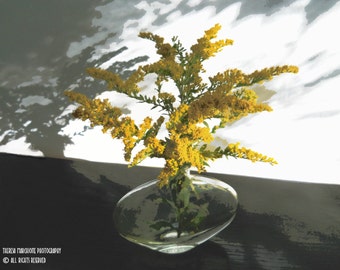 Signed Original Photograph “GOLDENROD” ∎ Print With Mat ∎ Or Print Only