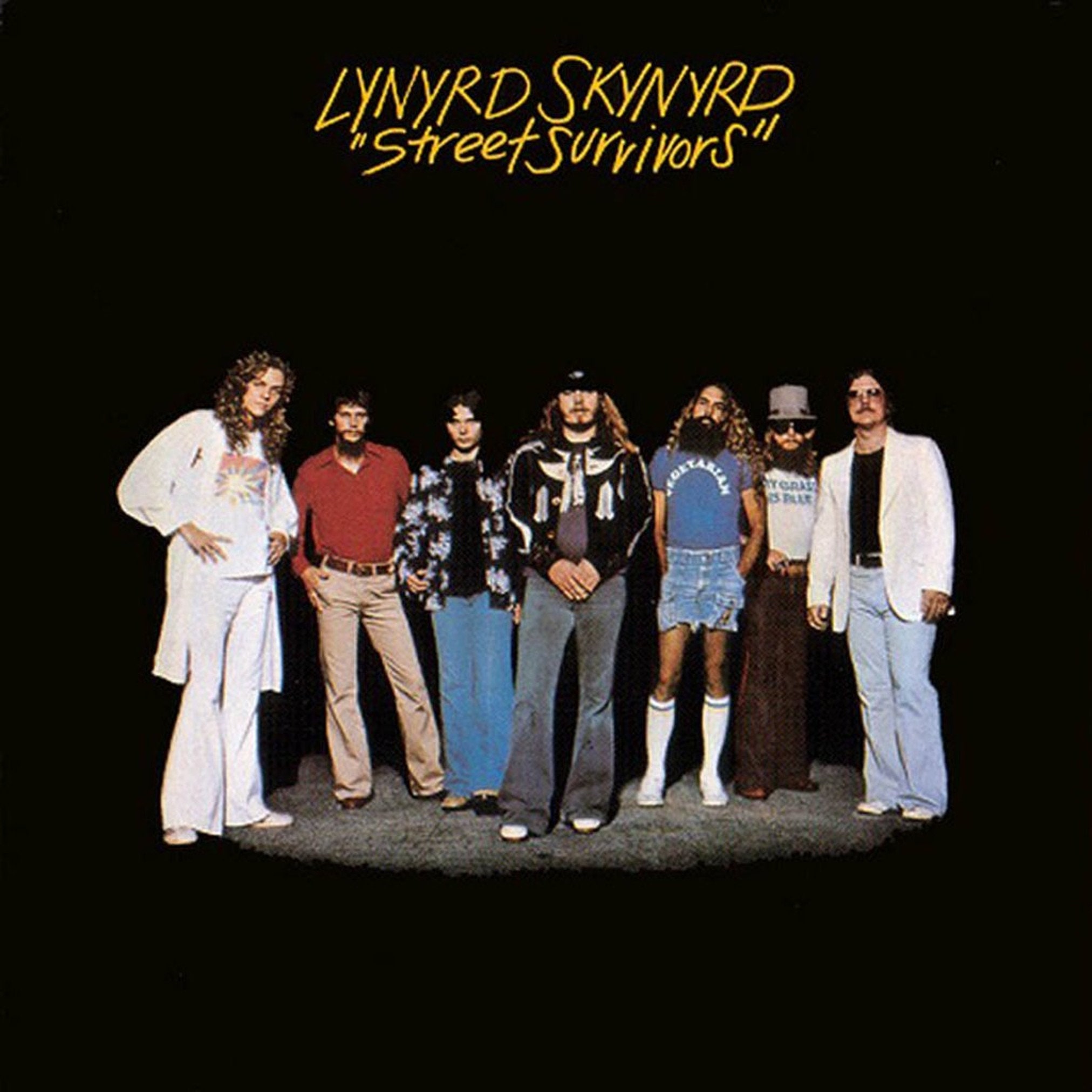 Rare 1977 LYNYRD SKYNYRD 