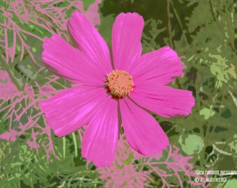 Signed Original Photograph “PINK POSY” ∎ Print With Mat ∎ Or Print Only