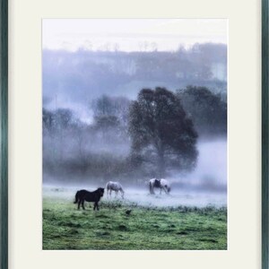 Morning in the meadow Fine Art Photography Download image 2