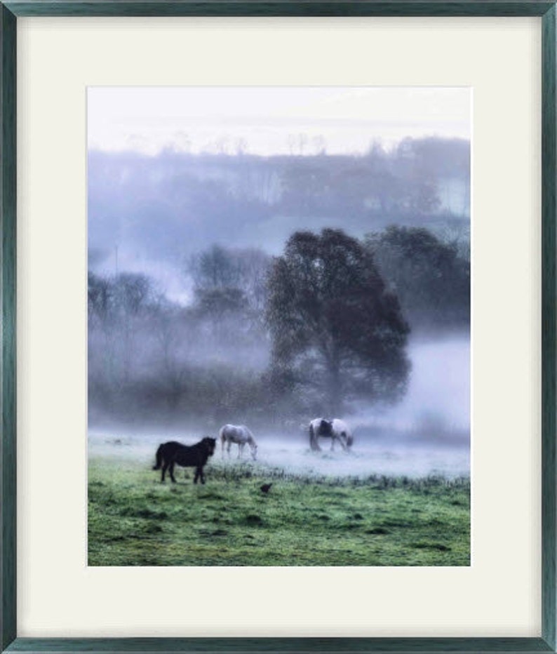 Morning in the meadow Fine Art Photography Download image 2