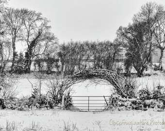 Winters meadow Fine Art Photography Download