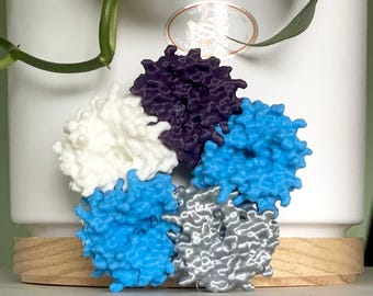 Modelo de proteína multicolor impreso en 3D personalizado con dominios individuales