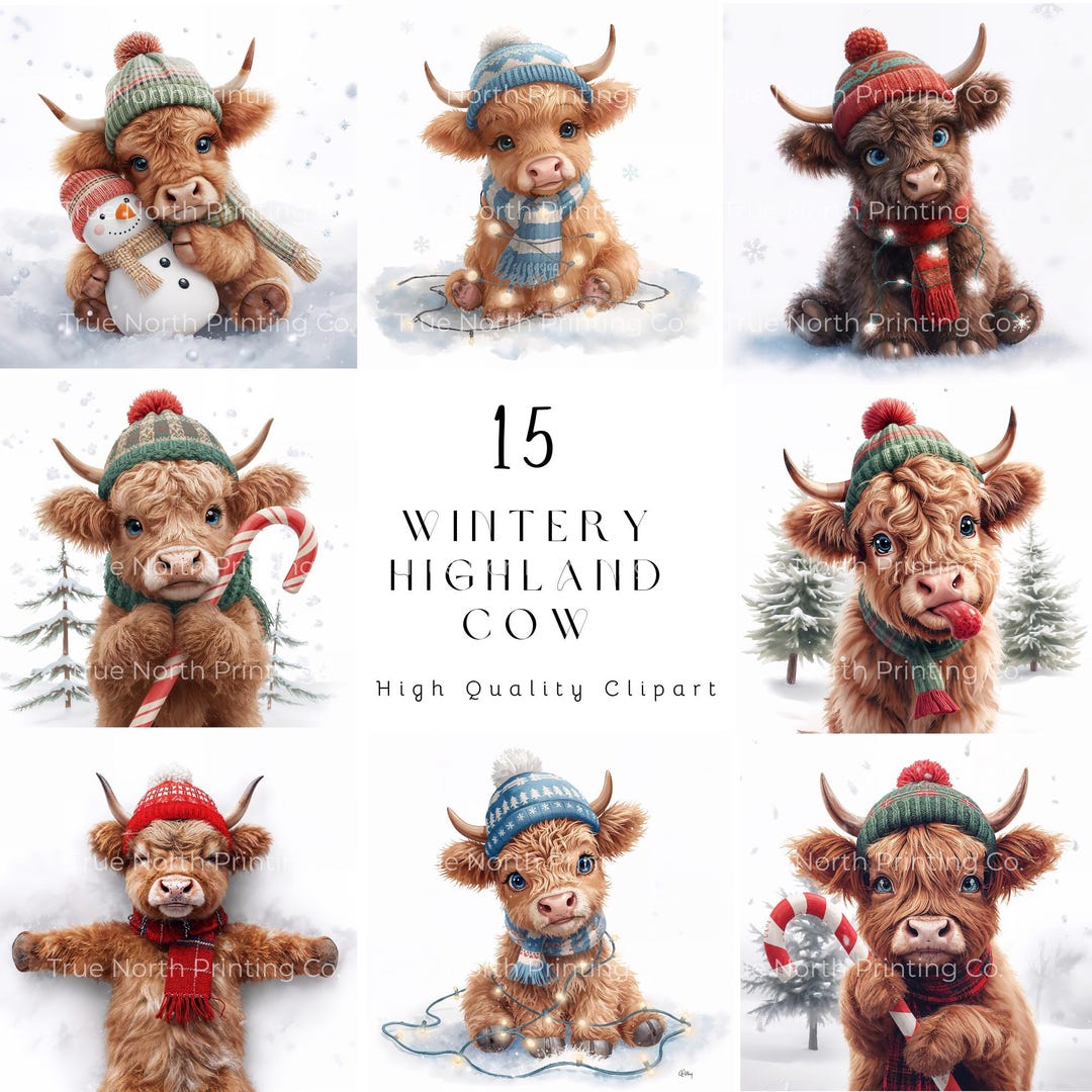 Highland Cow Christmas Clipart Bundle – Winter Calf PNG (digital ...