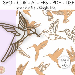 Peut inclure: Ensemble de motifs de colibris pour la découpe laser. L'image présente 13 motifs de colibris différents dans divers styles, y compris des motifs à ligne unique et géométriques. Le texte en haut indique les formats de fichiers disponibles : SVG, CDR, AI, EPS, PDF et DXF.