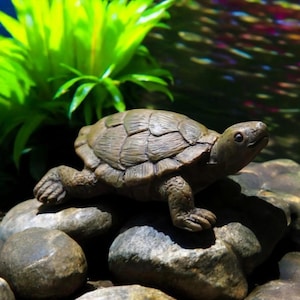 Turtle Garden Statue, Small Turtles, Aquarium Deco, Miniature Garden Decor, Gift Idea
