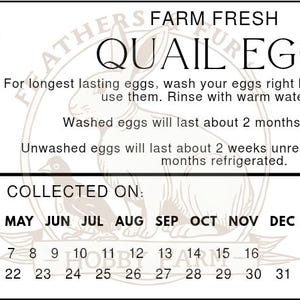 Quail Egg Label for Cartons, 2X4&quot; -CUSTOMIZABLE
