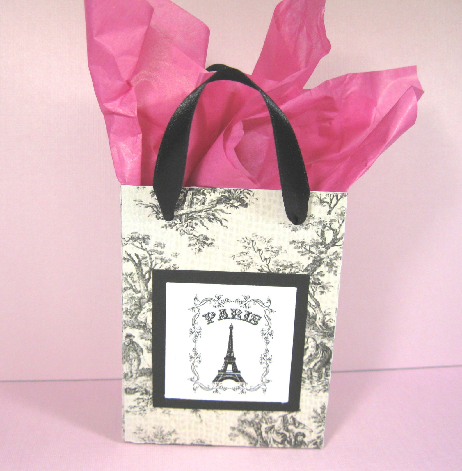 10 Paris Eiffel Tower Favor Bags Ooh La La Party Favor Bags | Etsy
