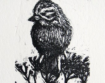 small print, wood engraving, hand-printed. songbird, unframed