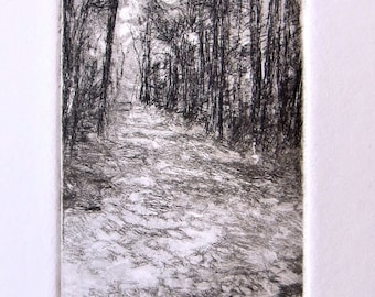 etching/engraving drypoint - small study - shaded path
