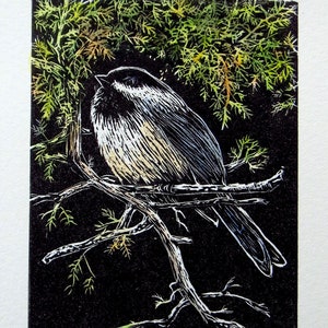 relief block engraving, chickadee, hand-coloured, unframed image 1