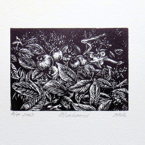 wood engraving, hand coloured, wild blueberries, unframed image 3
