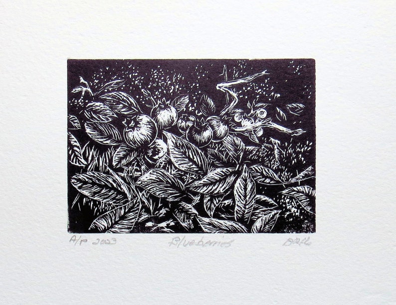 wood engraving, hand coloured, wild blueberries, unframed image 3