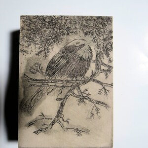 relief block engraving, chickadee, hand-coloured, unframed image 8