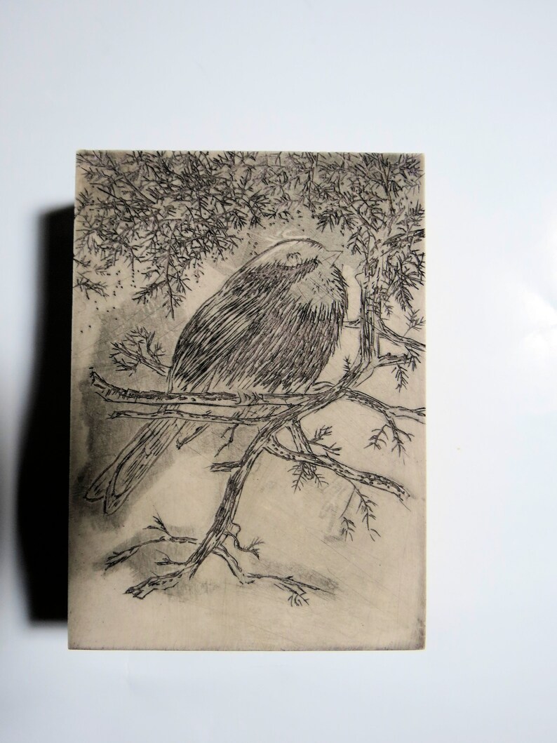 relief block engraving, chickadee, hand-coloured, unframed image 8