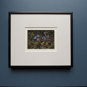 gravure sur bois, coloriée à la main, bleuets sauvages, sans cadre image 4