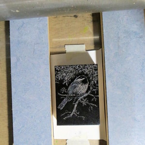 relief block engraving, chickadee, hand-coloured, unframed image 6