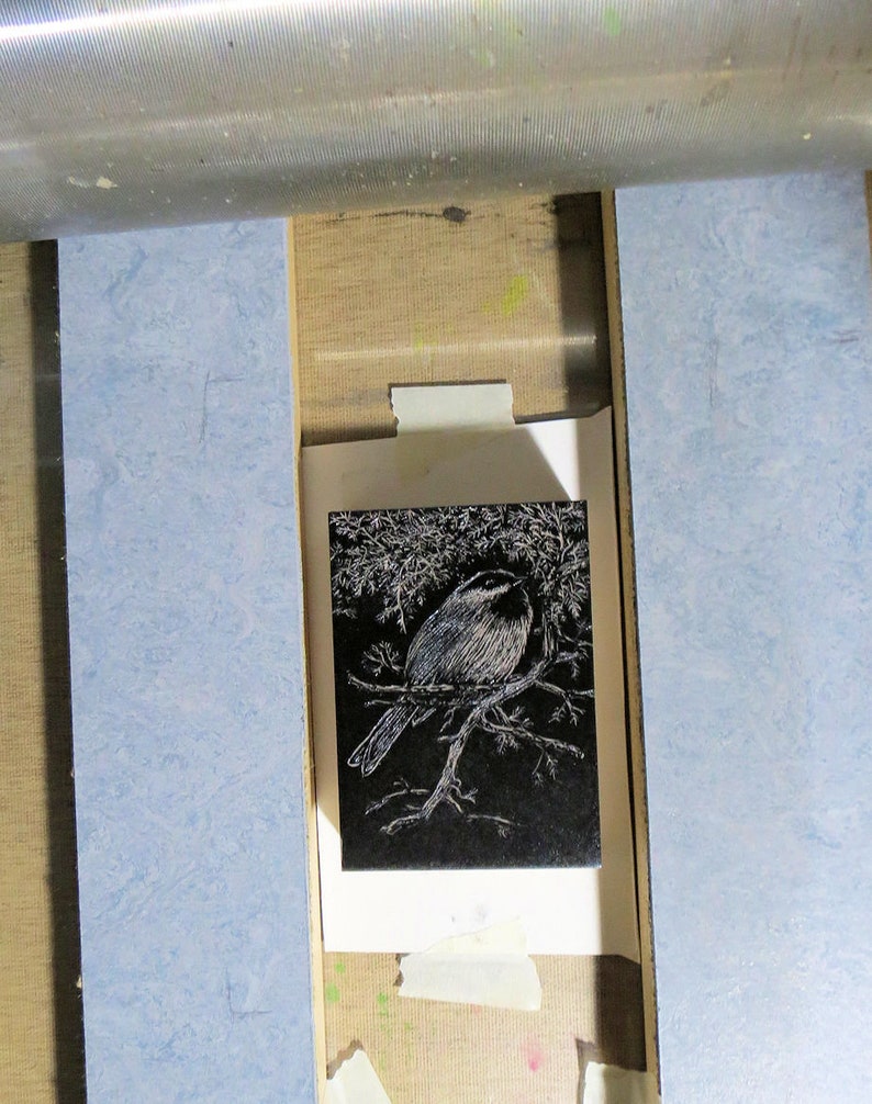 relief block engraving, chickadee, hand-coloured, unframed image 6