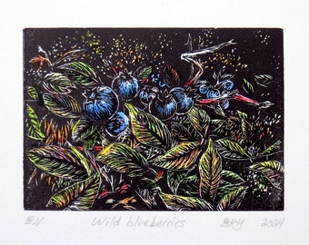 wood engraving, hand coloured, wild blueberries, unframed