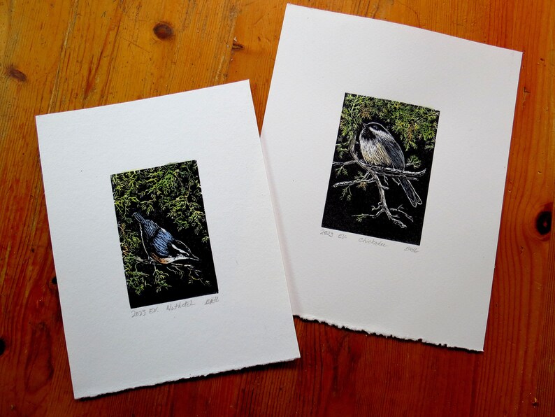 relief engraving, hand-coloured, nuthatch, nature image 8