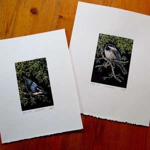 relief block engraving, chickadee, hand-coloured, unframed image 10