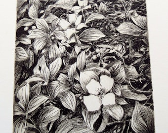 Etching/engraving, nature, plants, flora