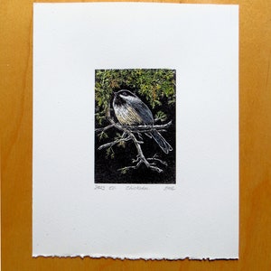 relief block engraving, chickadee, hand-coloured, unframed image 2