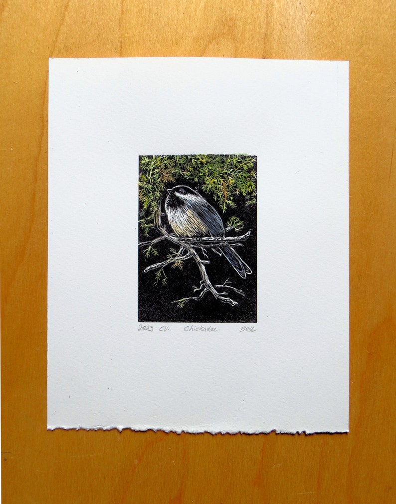 relief block engraving, chickadee, hand-coloured, unframed image 2