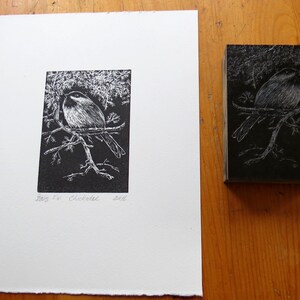 relief block engraving, chickadee, hand-coloured, unframed image 7
