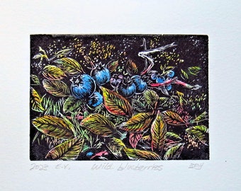 wood engraving, hand coloured, wild blueberries, unframed