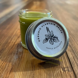 Reiki-Infused Organic Plantain Salve | Botanical Balm for Everyday Skin Rituals