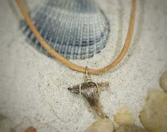 Shark Tooth fossil necklace from Morocco