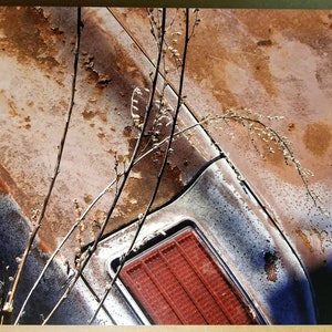 Voiture et graminées photographie imprimée sur le métal