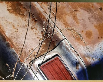 Car and Grasses photograph printed on metal