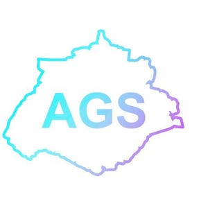 Mexican State Map Outline Aguascalientes Vinyl Decal Sticker UV & Waterproof Bumper Window Laptop Automotive Water Bottle Gift accessories